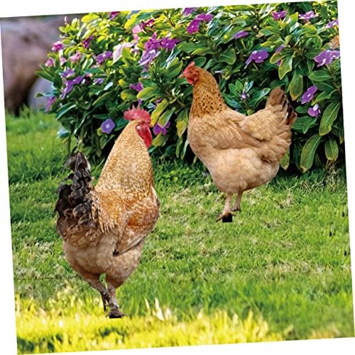 האנבאס 6 יחידות גן קישוט חיצוני דקור תרנגולת שילוב אקריליק