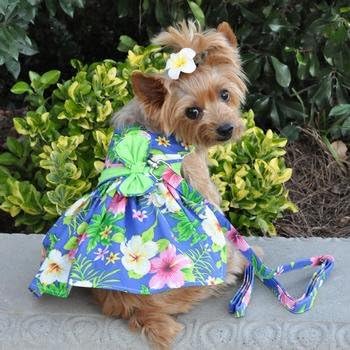 שמלת כלבים היביסקוס בהוואי בהוואי עם רצועה תואמת