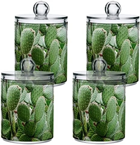 Yyzzh cactus prickly אגס קקטוסים צמח 4 חבילה מתקן מחזיק QTIP לכדור כותנה כפפות עגולות כותנה חוט דנטלי